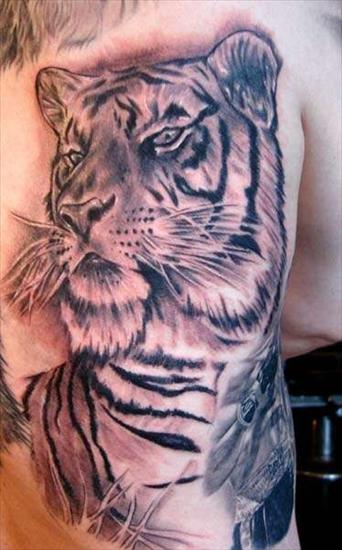 TatuaŻe - tatuaże-tygrysy.jpg