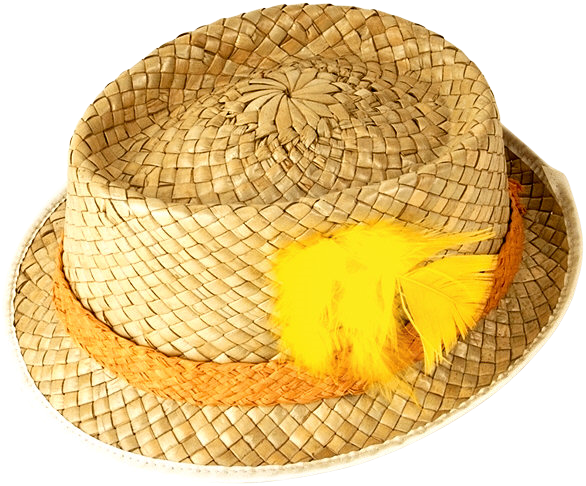 KAPELUSZE - Straw hats 50.png
