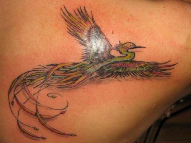 tatuaże na ciele - rajski ptak-zmn_.jpg