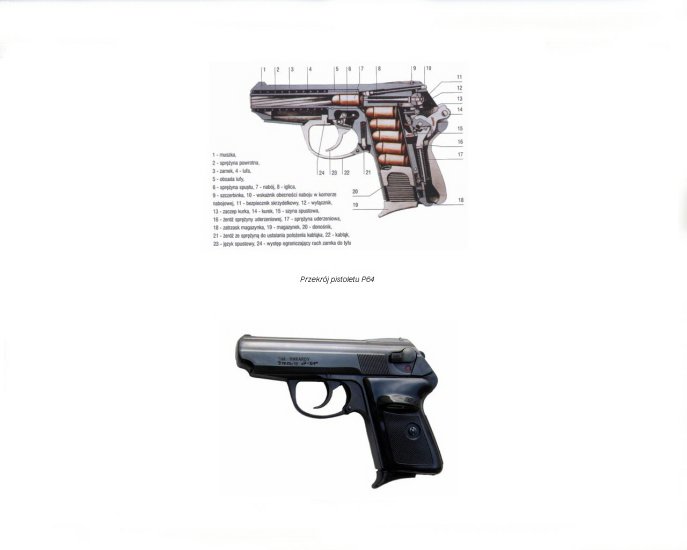 Schematy_opisy - Pistolet P64.jpg