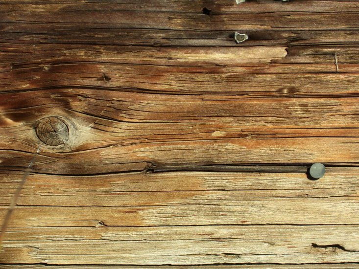 tekstury - Wood_Texture_Stock_by_digital_amphetamine.jpg