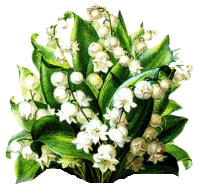 kwiaty gify - Kwiaty 1.gif