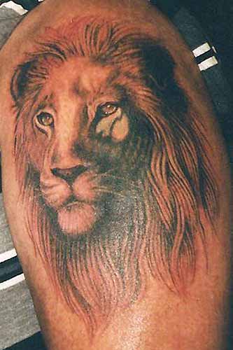 Lions, Tigers, Wild Cats - Lion_Tattoo_M.jpg