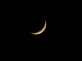 moon - sam Księżyc.jpg_thumb.jpg