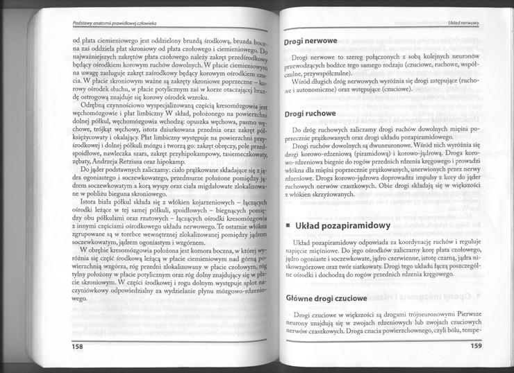 książka Zbigniew Wójtowicz - Podstawy anatomii człowieka - 2010-10-22 20-06-30_0003.jpg