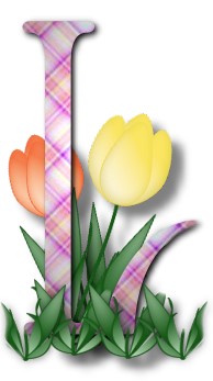 32 - TulipTripL.jpg