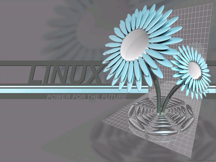 Coś z Linuxa - linuxflower1024.jpg