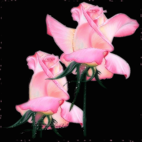 animowane  kwiaty-kartki - 0_608fa_84f87091_L.gif