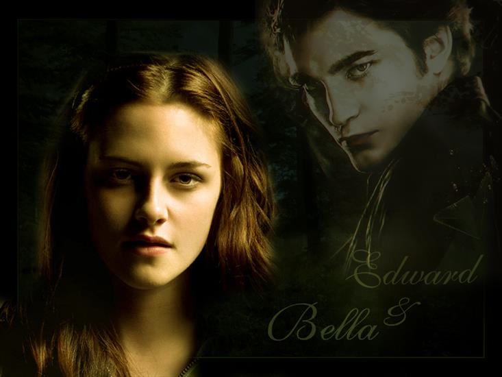 Zmierzch i kolejne - Edward-Bella-twilight-series-2706552-1024-768.jpg