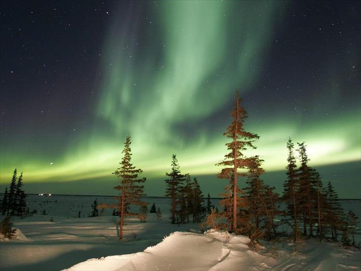 GÓRY KANADA - The northern lights-Churchill-Manitoba.jpg