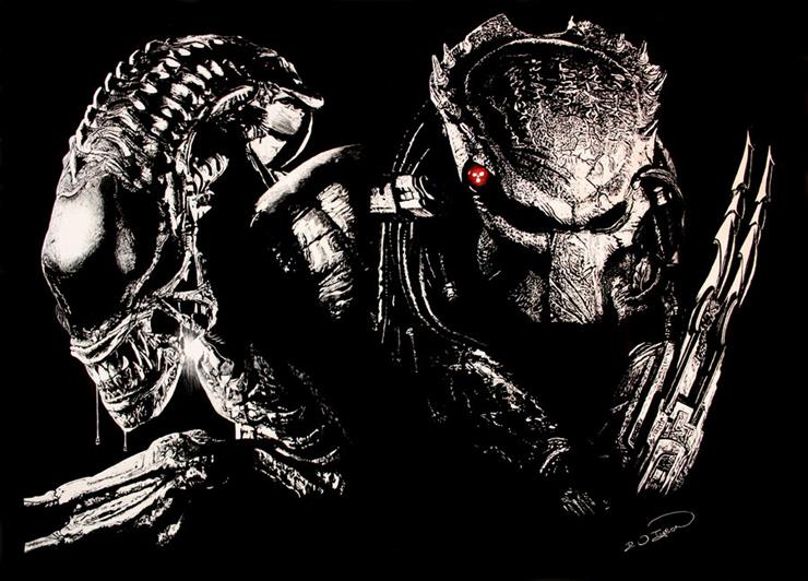 PREDATOR - Alien_vs_Predator_Scratchboard_by_RTyson.jpg