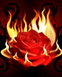 GIFY RÓŻE - Flame_Rose.jpg