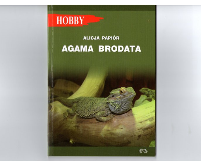 HOBBY - AGAMA BRODATA.jpg
