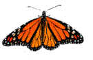 motyle - vlinders_75.gif