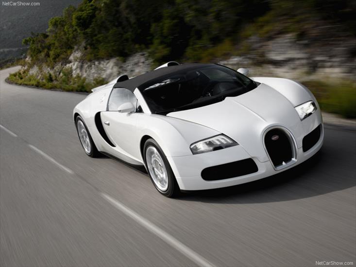 samochody - Bugatti-Veyron_Grand_Sport_2009_800x600_wallpaper_05.jpg