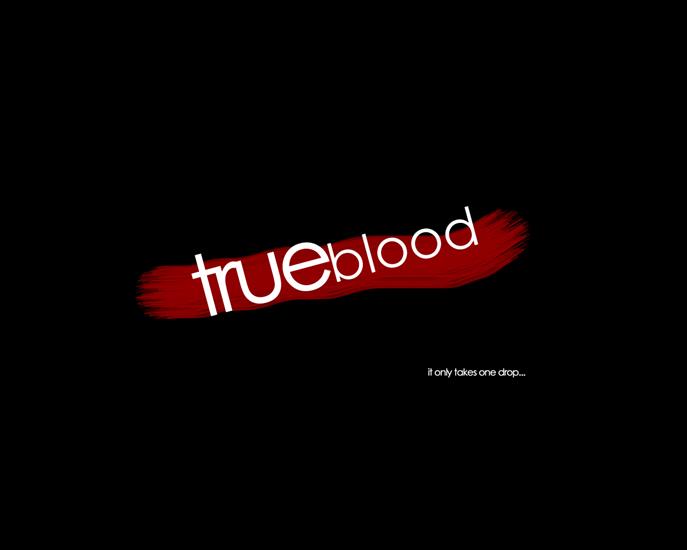 zachomikowane - True-Blood-Wallpaper-true-blood-5796591-1280-1024.jpg
