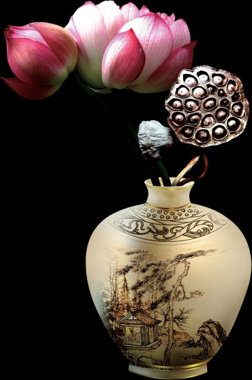 Chinoiserie - MBW - Chinoiserie - Vase.png