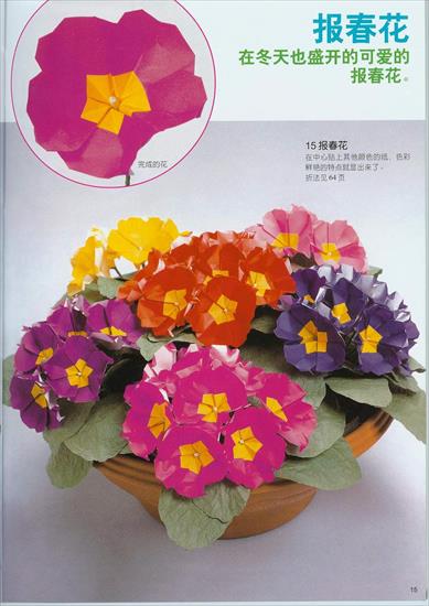 kwiaty 1 - 015.jpg
