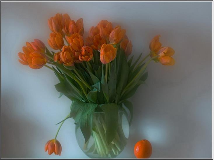 Bukiety z bzu i tulipanów - bukiet 1 162.jpg