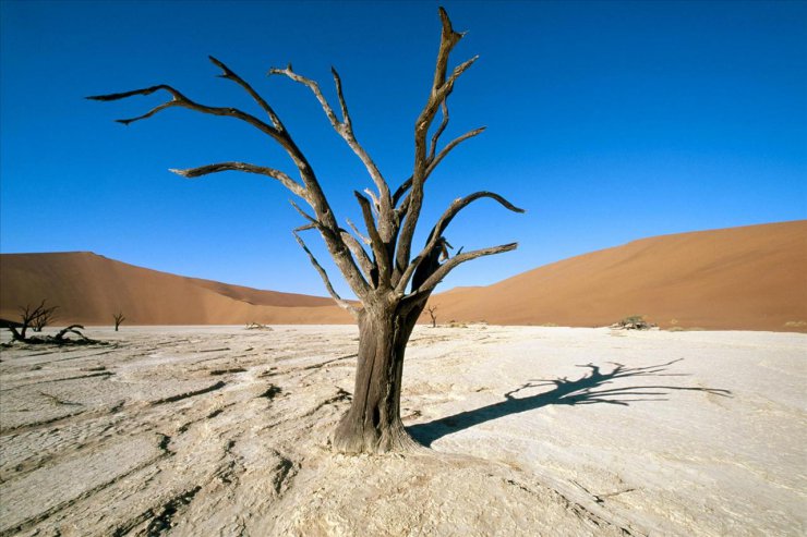 AFRYKA - Namib-naukluft Park, Namib Desert, Namibia, Africa.jpg