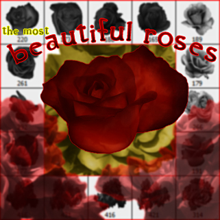  PĘDZLE - BRUSH - Beautiful Roses.jpg