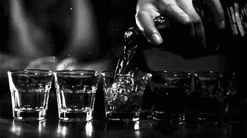 drink - giphy 1.gif