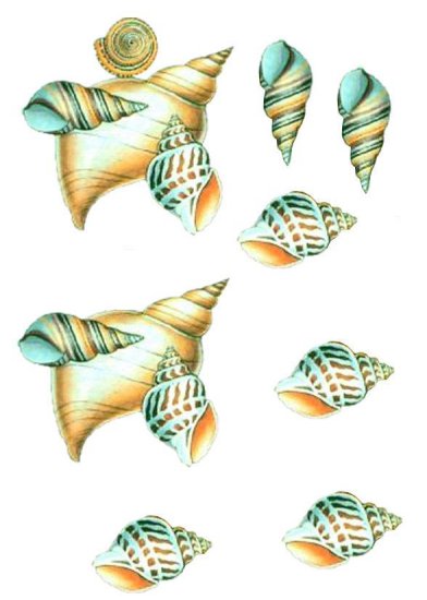 DECOUPAGE  3D-papier - Pixiedust_Shells.jpg