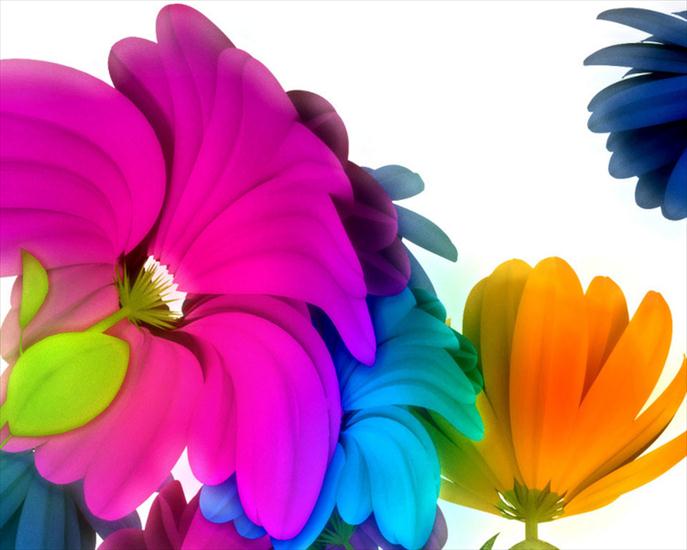Fascynujące Tapety - Colorful--Flowers.jpg