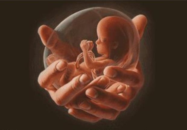 ABORCJA-WSPÓŁCZESNA RZEŻ NIEWINIĄTEK -       CHROŃMY ŻYCIE        .jpg