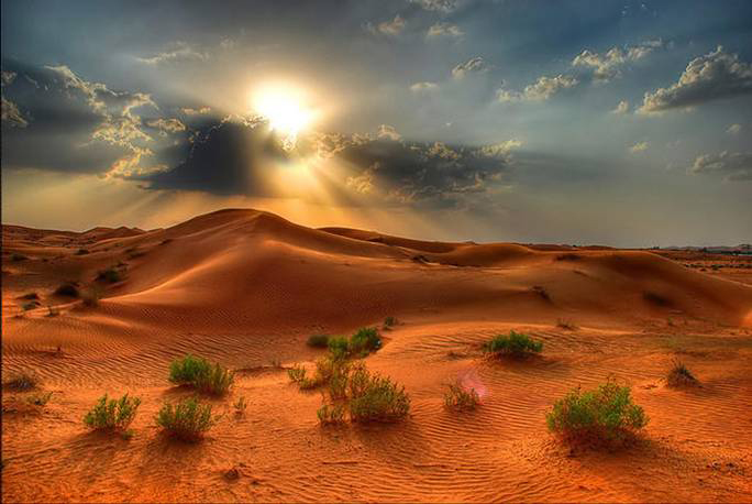 Pustynia - pustynia.jpg