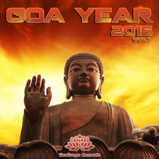 VA-Goa_Year_2015_Vol_1-WEB-2015-PITY - Cover.jpg