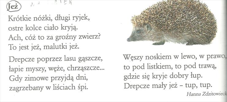 O zwierzętach - Hanna Zdzitowiecka-Jeż.jpg