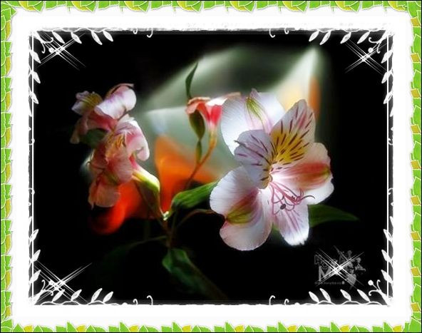 Obrazki kwiatów - 2-glitery_pl-pipesia-0-51801.jpg