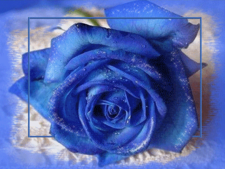 Niebieskie-Róże - Niebieska_ra.gif