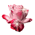 najpiekniejsze kwiaty - rose-ani-137.gif