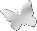 motyle,owady - Butterfly1.png