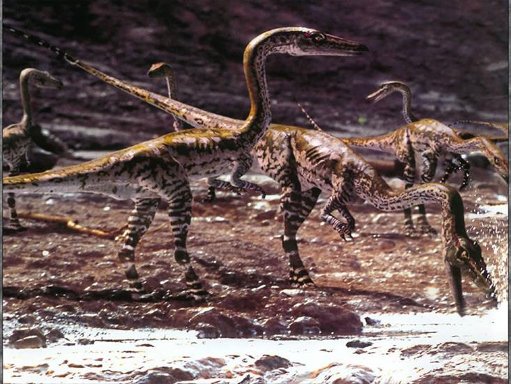 Dinozaury - 12_800.jpg