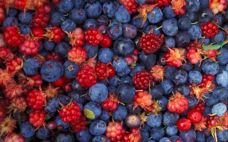 OWOCE I WARZYWA - blue_red_fruits_food_cherries_blueberries_berries_berry_desktop_1280x800_hd-wallpaper-696134.png