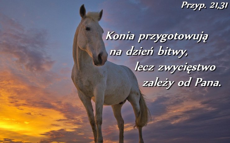 Tapety ze Słowem Bożym - Przyp. 21,31.jpg