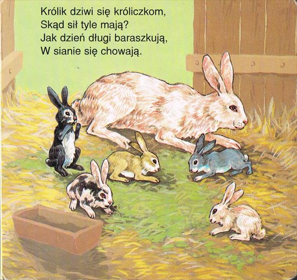 Zwierzątka domowe - 16. Królik i króliczki.jpg