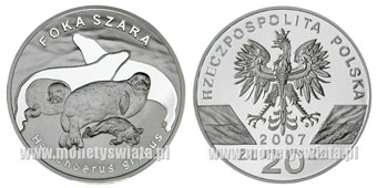 Srebrna kolekcja - 20 złotych Foka szara srebro 2007 r..jpg