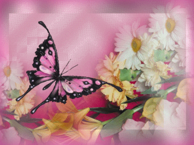 Motyle - andele_1176356783_27.gif